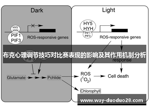 布克心理调节技巧对比赛表现的影响及其作用机制分析