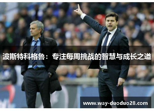 波斯特科格鲁：专注每周挑战的智慧与成长之道